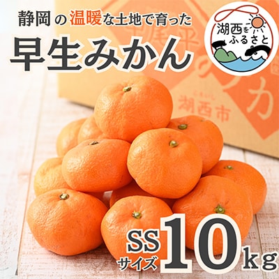 【先行受付】【11月上旬より順次出荷予定】早生みかん約10kg SSサイズ〔鈴木農園〕【1510124】