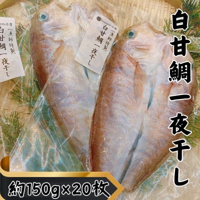 【遠州灘産】白甘鯛の一夜干し　約150g×20枚【配送不可地域：離島】【1587743】