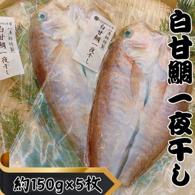 【遠州灘産】白甘鯛の一夜干し　約150g×5枚【配送不可地域：離島】【1587703】
