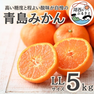 【先行受付】【2026年1月初旬頃より順次出荷予定】青島みかん約5kg LLサイズ〔鈴木農園〕【1510126】