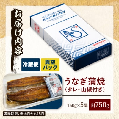 【産地直送】浜名湖産うなぎ蒲焼 約150g×5尾[かわべのうなぎ]【配送不可地域：離島】【1389398】
