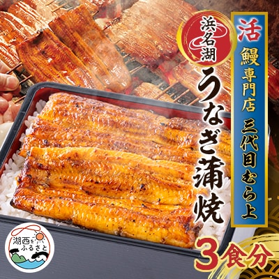 三代目むら上の職人手焼　浜名湖産鰻蒲焼120g(3枚)　たれ・山椒付き【配送不可地域：離島】【1403763】