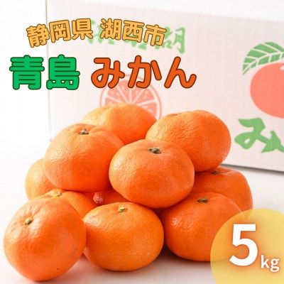 【2026年1月発送】浜名湖の「青島みかん」5kg 【1537448】