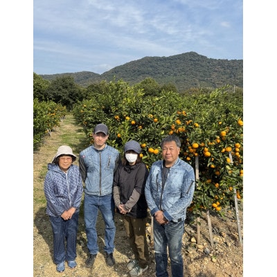 【旨味にこだわり】里見農園のみかん Lサイズ 3kg【1693596】