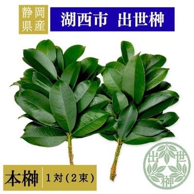 静岡県産湖西市　出世榊　本榊　純国産　さかき1対(2束)※1日交換に間に合うように配送【1702133】