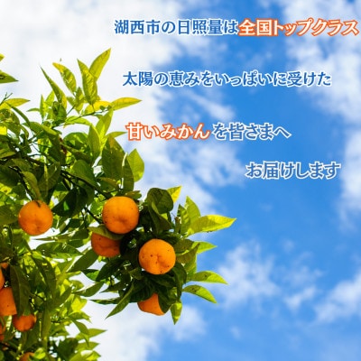 【先行受付】【11月上旬より順次出荷予定】早生みかん約5kg Lサイズ〔鈴木農園〕【1510117】