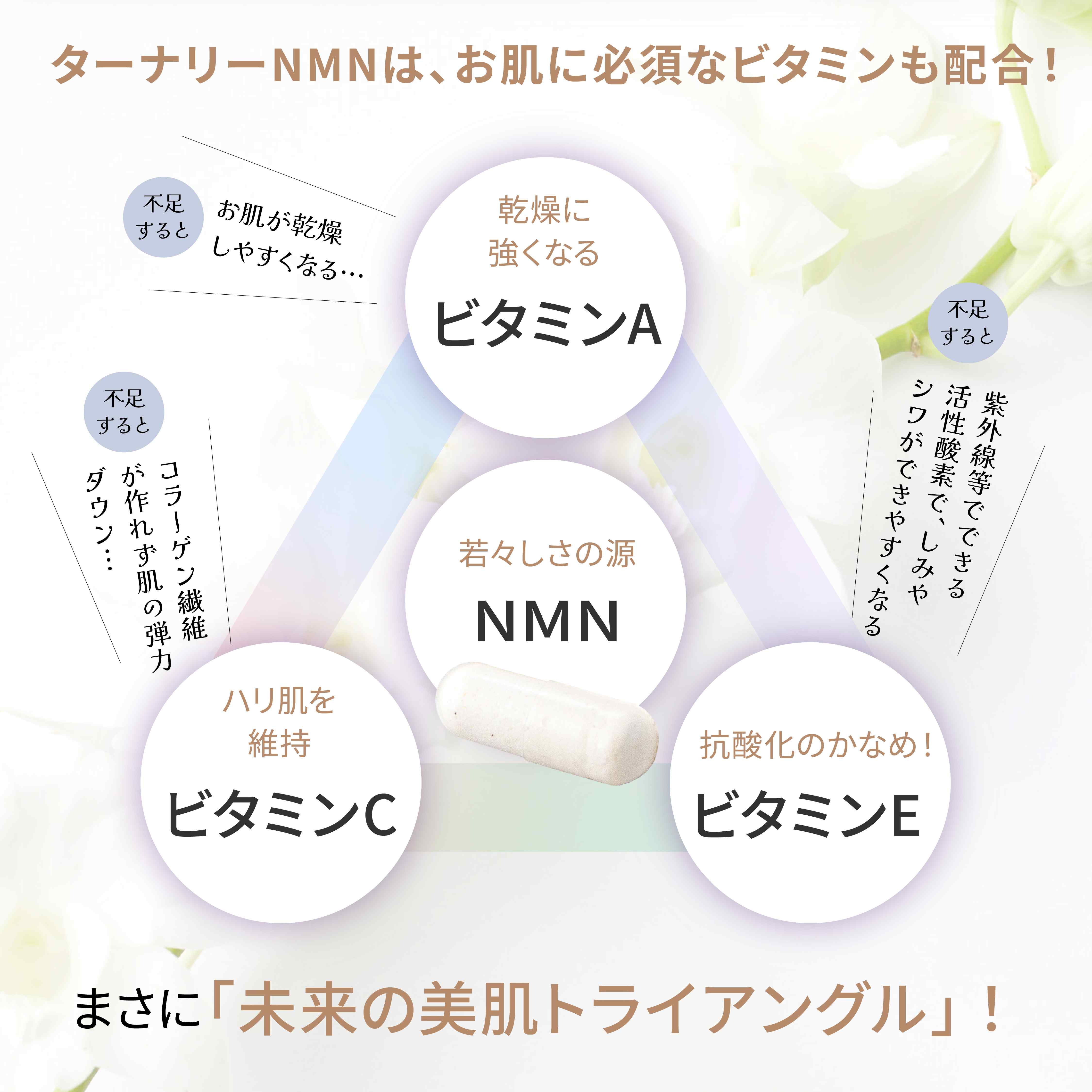 繧ソ繝シ繝翫Μ繝シNMNシ60邊貞・繝代え繝シ嘉4陲九舌お繧、繧ク繝ウ繧ー繧ア繧「 鬮倡エ泌コヲ 蛛・蠎キ邯ュ謖 豈取律鄙呈」 蝗ス蜀蟾・蝣エ 邱鷹サ濶イ驥手除 繝薙ち繝溘ΦA 繝薙ち繝溘ΦC 繝薙ち繝溘ΦE NAD 鄒主ョケ 蛛・蠎キ 繧ォ繝励そ繝ォ 髱吝イ。 莨願ア縲RNA NMN nmn 繧オ繝励Μ 繧オ繝励Μ繝。繝ウ繝 蝗ス蜀陬ス騾 鬮倡エ泌コヲ 閠宣ク諤ァ 繧ォ繝励そ繝ォ 繧ソ繝悶Ξ繝繝 蛛・蠎キ 繧オ繝シ繝√Η繧、繝ウ縲