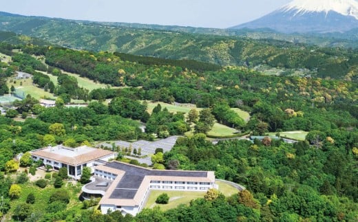 繝槭Μ繧ェ繝繝医帙ユ繝ォ菫ョ蝟蟇コ縲螳ソ豕願」懷勧蛻ク縲120,000蜀蛻縲宣撕蟯。逵 莨願ア蟶 貂ゥ豕 貂ゥ豕牙ョソ 螳ソ豕雁虻 螳ソ豕 譌陦 譌陦後け繝シ繝昴Φ 蝠蜩∝虻 陬懷勧蛻ク 繝槭Μ繧ェ繝繝 髱吝イ。 莨願ア 螟ァ豬エ蝣エ縲髴イ螟ゥ鬚ィ蜻 髴イ螟ゥ鬚ィ蜻ゆサ倥″ 繝吶ャ繝 繧ー繝ェ繝ォ 繝悶ャ繝輔ぉ 蝨ー蝣エ逕」 譽ョ縺ョ諱オ縲