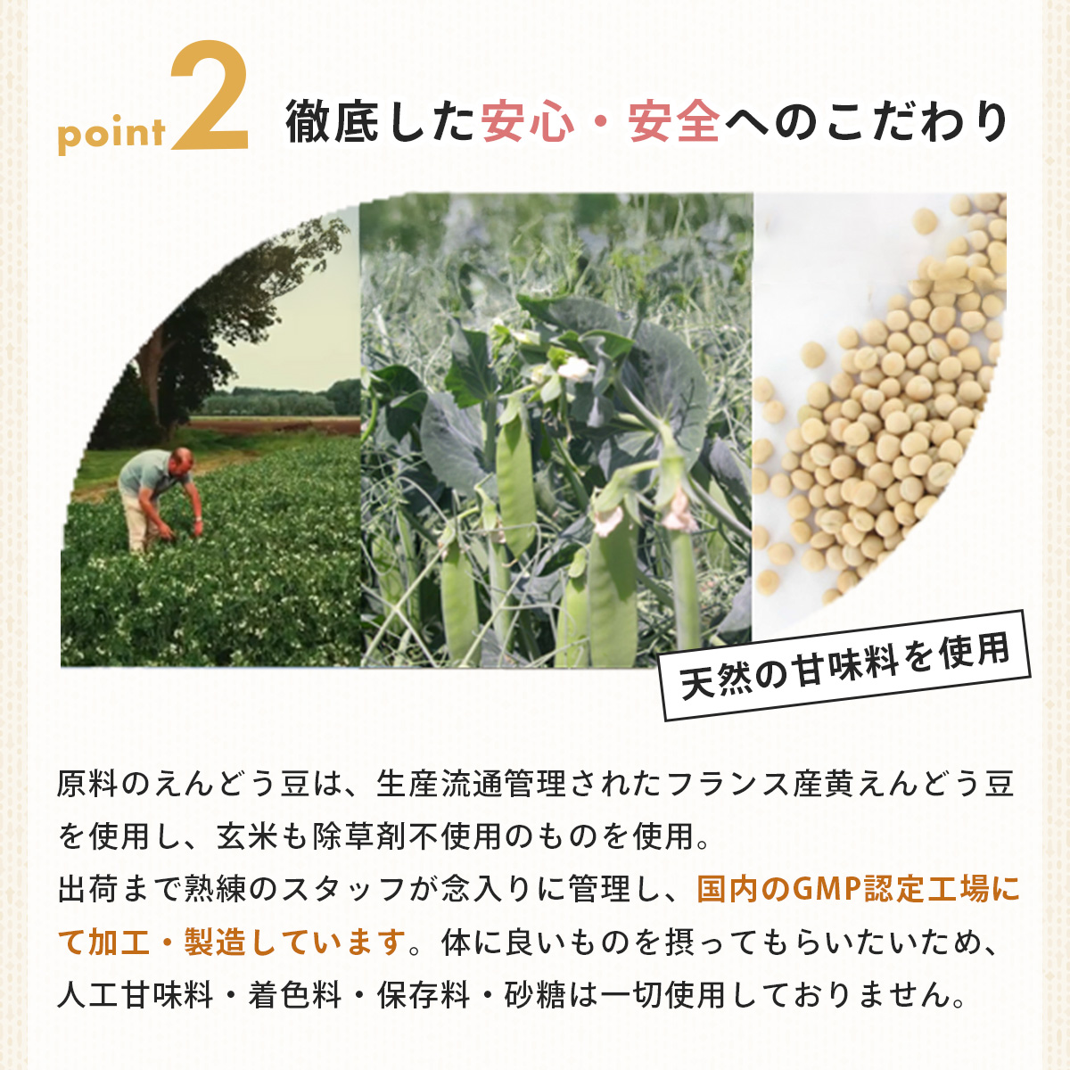 【anoma】プロテインほうじ茶フレーバー　600ｇ｜筋肉 美容 筋トレ 植物性プロテイン タンパク質 サプリ ダイエット 着色料不使用 保存料不使用 人工甘味料不使用 体型維持 ほうじ茶プロテイン 伊豆 静岡