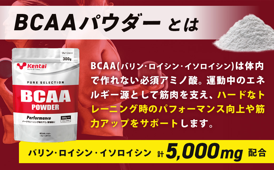 【健康体力研究所】BCAAパウダー（300g×1袋）｜ アミノ酸 補給 カラダ 筋肉 サポート 人工甘味料 香料不使用