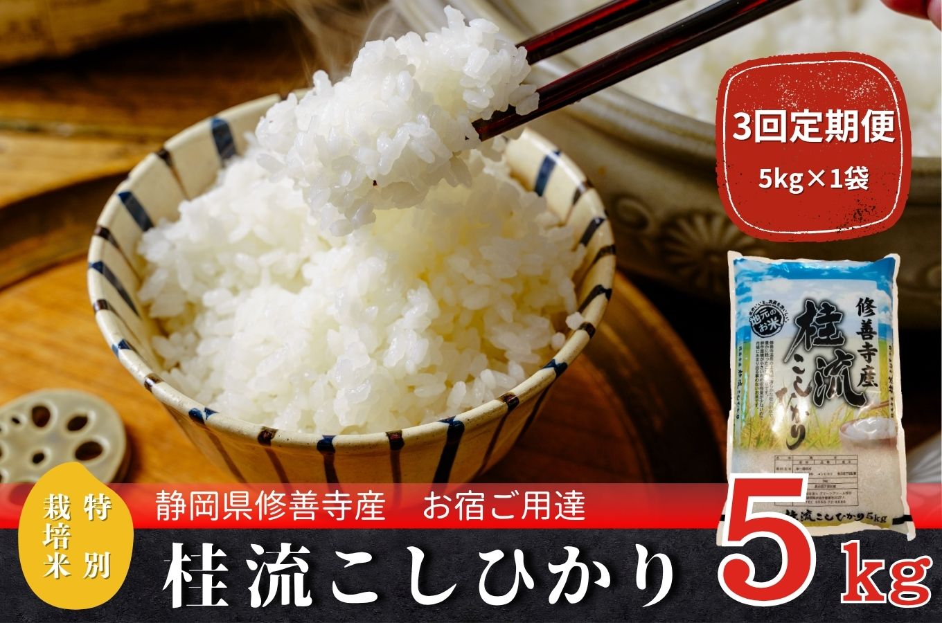 [数量限定]定期便(全3回)修善寺 桂流こしひかり(5kg)| コシヒカリ 白米 お米 精米 国産 米 ごはん 特別栽培米 お取り寄せ 静岡県 伊豆市 | 045-003
