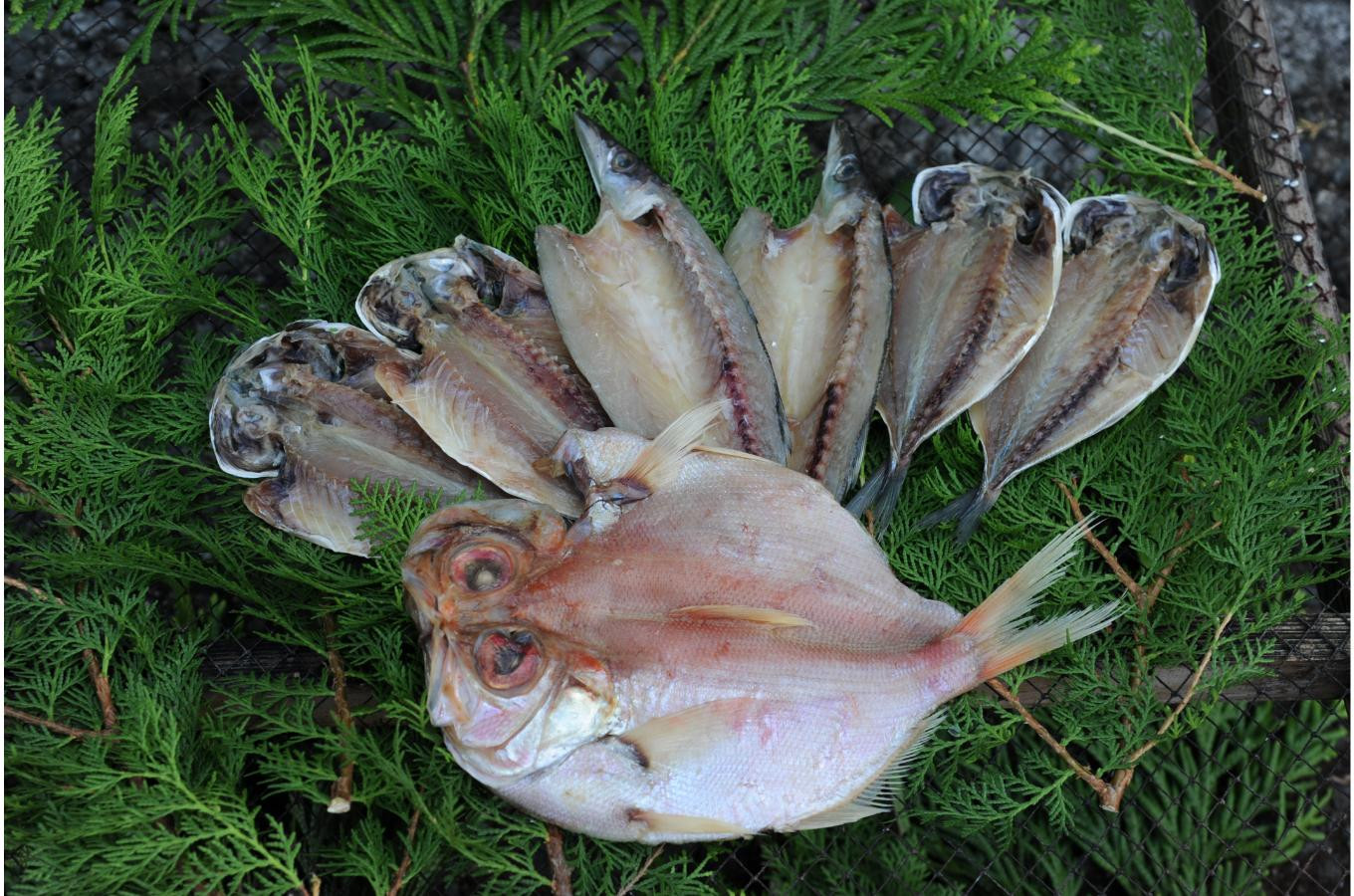 豌エ螟ゥ荳ク豌エ逕」 螟ゥ譌・蟷イ縺 謇矩繧 縺イ繧ゅョ繧サ繝繝1シ医い繧ク 4譫壹サ繧ォ繝槭せ 2譫壹サ驥醍岼魃 1譫夲シ峨蝉シ願ア 鬧ソ豐ウ貉セ 蟷イ迚ゥ 騾ク蜩 3遞ョ鬘槭髱吝イ。 莨願ア 鬧ソ豐ウ貉セ 貎ョ鬚ィ 蟷イ縺輔l縺 閾ェ螳カ陬ス騾 蟷イ迚ゥ 謇矩繧 騾ク蜩 縺イ繧ゅョ 鬲 辟シ縺埼ュ 鬲壻サ矩。 繧「繧ク 繧ォ繝槭せ 驥醍岼魃 豬キ縺ョ蟷ク縲代010-013