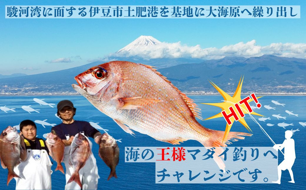 伊豆 海満喫体験 土肥沖 真鯛 船釣 スーパーVIP 乗船券 １名様 【静岡県 伊豆市 海 体験 土肥 チケット 船釣り 】070-002