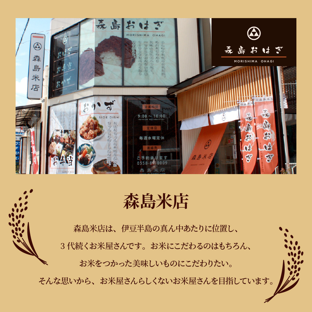 おはぎのサブスク（４回定期便） 森島おはぎ6個入り×2パック×年４回 急速冷凍 塩おはぎ 伊豆・天城 お彼岸 お盆 お供え 甘さひかえめ 森島おはぎ おはぎ 塩おはぎ ぼた餅 ぼたもち 冷凍 急速冷凍 つぶあん 小豆 もち米 米 和菓子 スイーツ 和スイーツ 和 お彼岸 彼岸 お盆 お供え 御供 法事 贈答 手土産 お取り寄せ 国産 手作り 自家製　038-001