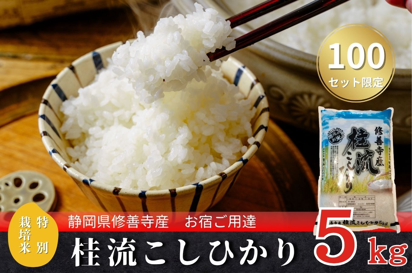 【数量限定】 静岡 伊豆 修善寺 桂流 こしひかり（5kg） | コシヒカリ 白米 お米 精米 国産 米 ごはん 特別栽培米 お取り寄せ 静岡県 伊豆市 | 015-013