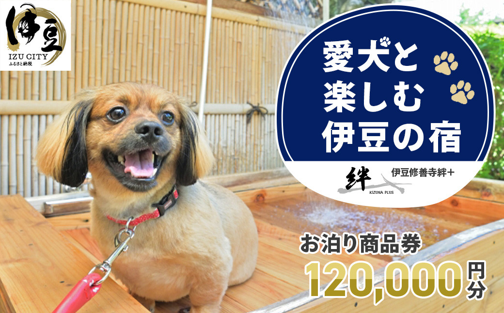 修善寺温泉 修善寺絆＋ 愛犬と一緒にお泊り 商品券 120,000円分 【静岡県 伊豆市 温泉 温泉宿 宿泊券 宿泊 旅行 旅行クーポン 商品券 補助券 ペット ホテル お泊り ペット 愛犬 犬 いぬ イヌ 家族 ファミリー 友達 友人 カップル 夫婦 宿泊券 補助券 チケット 利用券 贅沢 旅行 家族旅行 卒業旅行 記念旅行 記念日 お祝い 誕生日 卒業 結婚 還暦 ご褒美 】　40-007