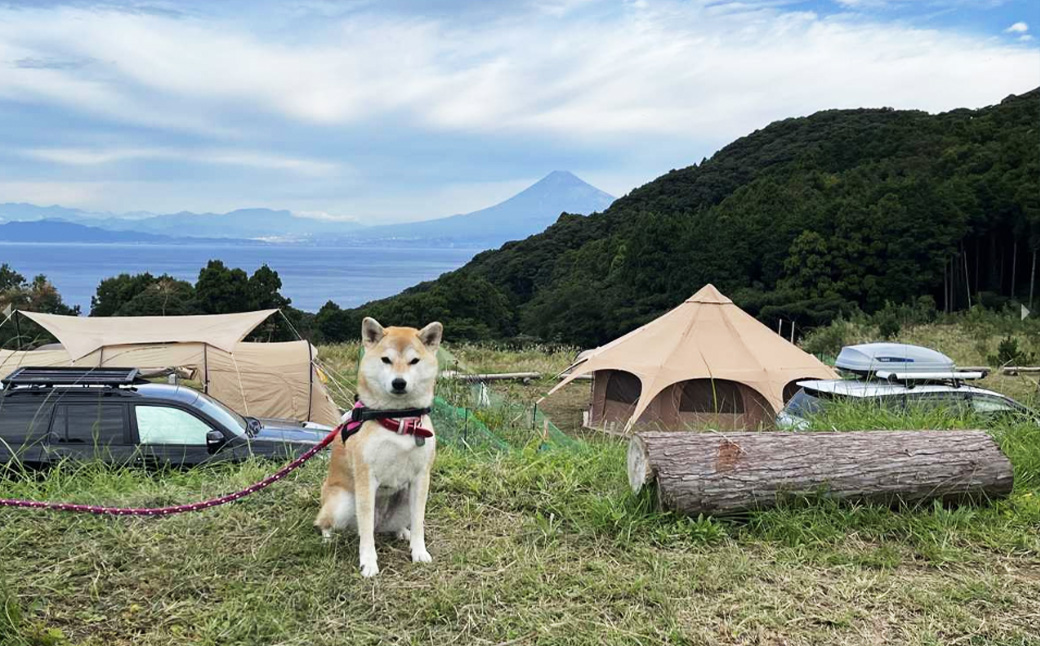 【伊豆キャンファーム】オートサイト利用補助券3,000円分｜富士山と海が見える絶景のロケーション！静岡県、西伊豆の土肥のキャンプ場