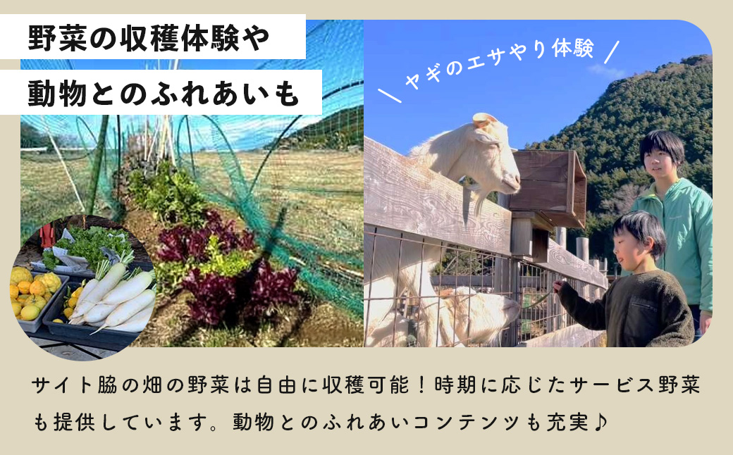 【伊豆キャンファーム】オートサイト利用補助券3,000円分｜富士山と海が見える絶景のロケーション！静岡県、西伊豆の土肥のキャンプ場
