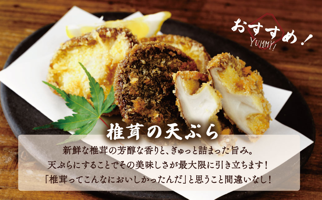 無農薬 無肥料 伊豆産 原木栽培の生・乾しいたけセット （生しいたけ 1kg・乾しいたけ 清助どんこ 250g）　【椎茸 キノコ 肉厚 シイタケ 乾燥 】　020-009