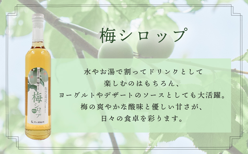 【伊豆市ブランド認定】梅とびわ香る伊豆の癒しセット〈AMAGIFT〉