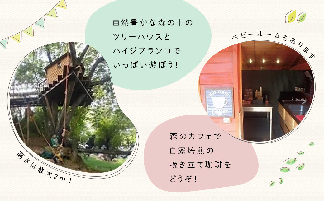 シャーレ・ コテージ ピノキオ 宿泊補助券 13,000円分 【大人気 虫取り 虫捕り クヌギの森 クワガタ カブトムシ ペンション ツリーハウス 宿 貸し切り 露天風呂 宿泊 旅行クーポン キャンプ BBQ バーベキュー 家族 ファミリー 子供 旅行 キャンプ 静岡 伊豆 ゲームハウス サウナ設置 高台 伊豆 静岡 】 C-040