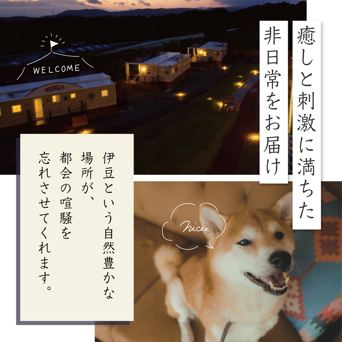 グランピング ペットと泊まれる 中伊豆EAST WINDS VILLAGE 宿泊補助券 60,000円分 【静岡県 伊豆市 宿泊券 宿泊 旅行 旅行クーポン 商品券 補助券 リゾート ヴィラ ペット 静岡 伊豆 ペット 宿泊 キャンプ ドッグラン 愛犬 手ぶら BBQ バーベキュー リゾート ヴィラ キャビン 家族 ファミリー カップル 友人 旅行 】　20-001