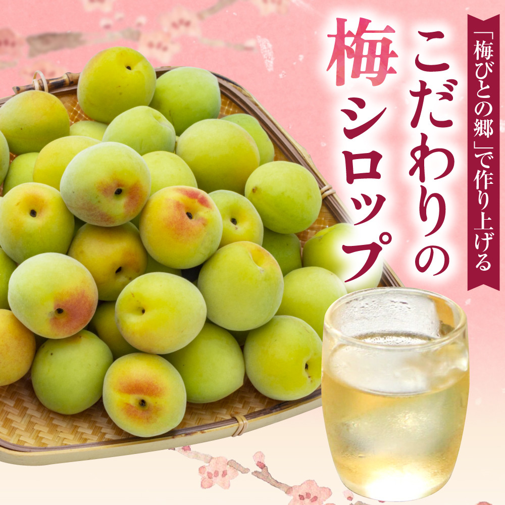 伊豆 月ヶ瀬 こだわりの 梅シロップ 500ml×６本セット 028-001　【 国産 無添加 焼酎 炭酸水 炭酸 飲料 果実 青果 果樹 ドリンク かき氷 お菓子 ケーキ ジュース 瓶 贈り物 ギフト プレゼント お土産 手土産 お取り寄せ 伊豆　梅シロップ 梅しろっぷ うめしろっぷ シロップ しろっぷ 梅 うめ ウメ　】