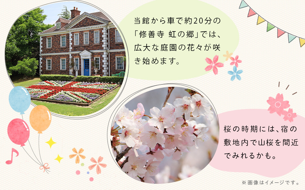 シャーレ・ コテージ ピノキオ 宿泊補助券 13,000円分 【大人気 虫取り 虫捕り クヌギの森 クワガタ カブトムシ ペンション ツリーハウス 宿 貸し切り 露天風呂 宿泊 旅行クーポン キャンプ BBQ バーベキュー 家族 ファミリー 子供 旅行 キャンプ 静岡 伊豆 ゲームハウス サウナ設置 高台 伊豆 静岡 】 C-040