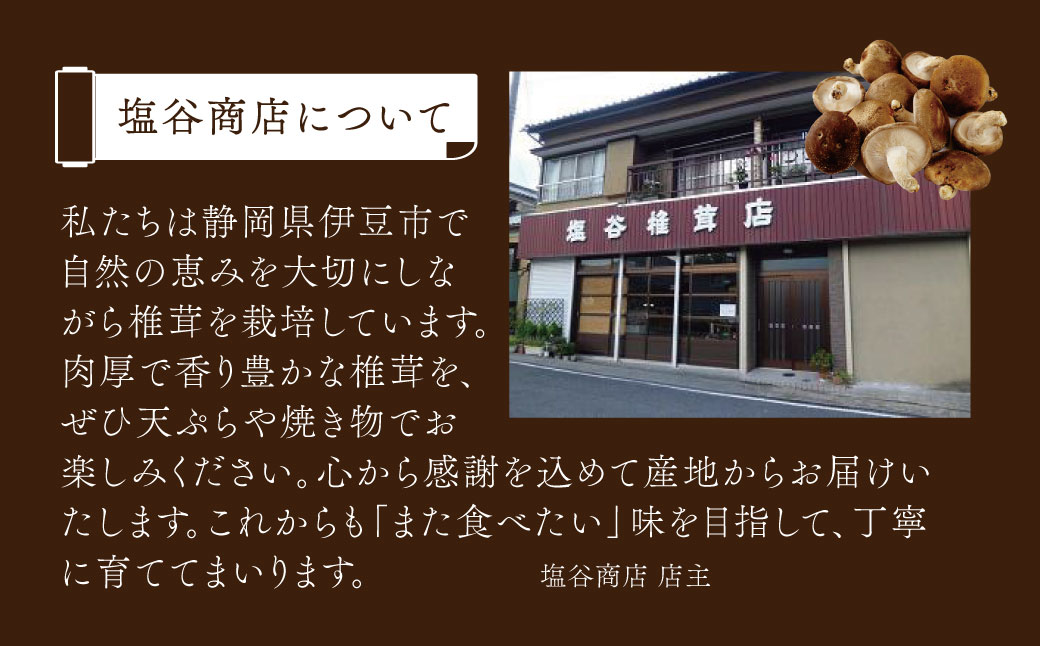 無農薬 無肥料 伊豆産 原木栽培の生・乾しいたけセット （生しいたけ 1kg・乾しいたけ 清助どんこ 250g）　【椎茸 キノコ 肉厚 シイタケ 乾燥 】　020-009