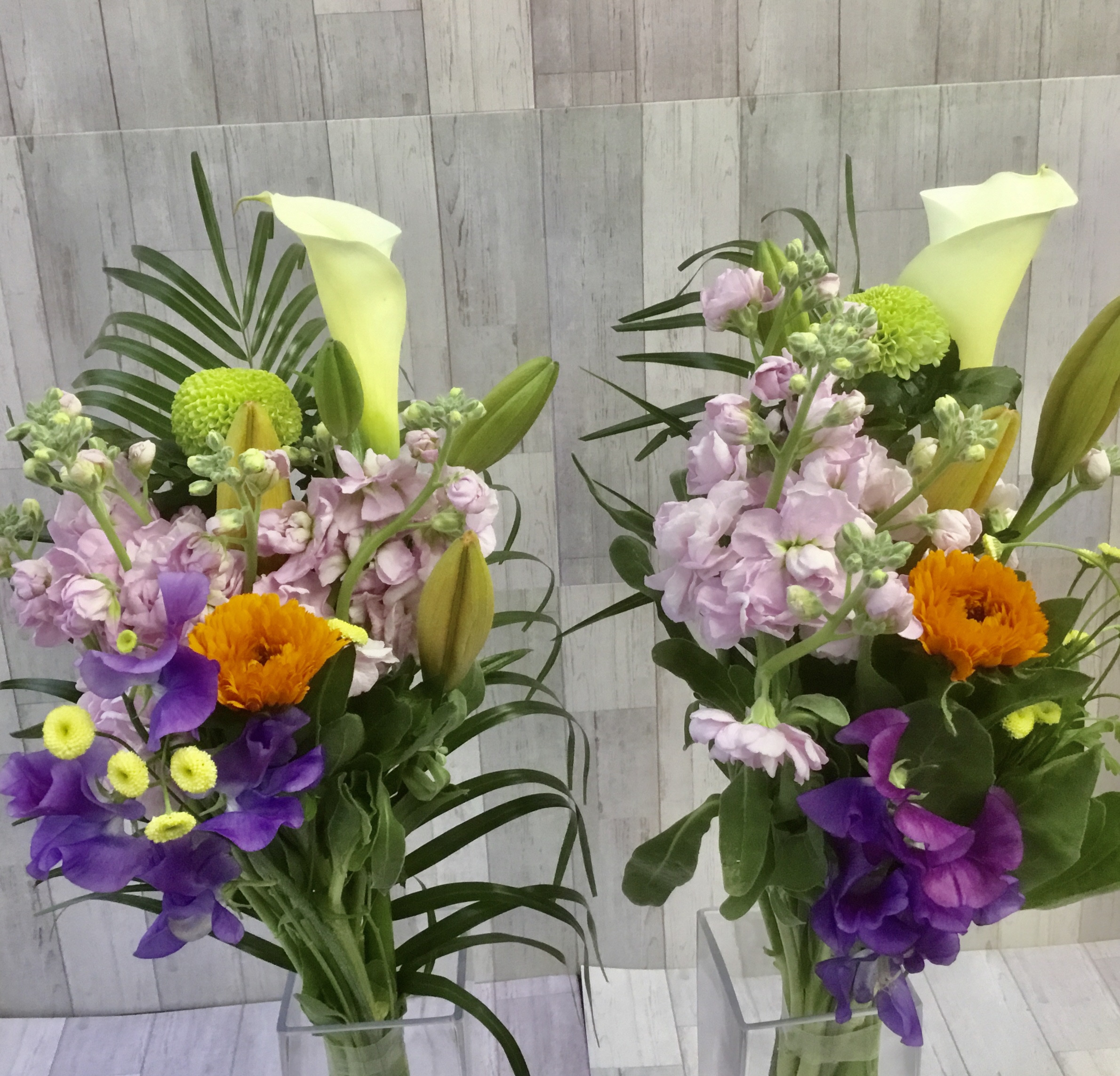 縺ゅ″縺、繝輔Ν繝シ繝ォ 蠅灘燕繝サ莉丞燕蠕。萓 闃ア譚1蟇セシ2蛟具シ峨蝉シ願ア 闃ア 繧ョ繝輔ヨ 繝輔Λ繝ッ繝シ 繧「繝ャ繝ウ繧ク繝。繝ウ繝 萓帙∴闃ア縲代011-005