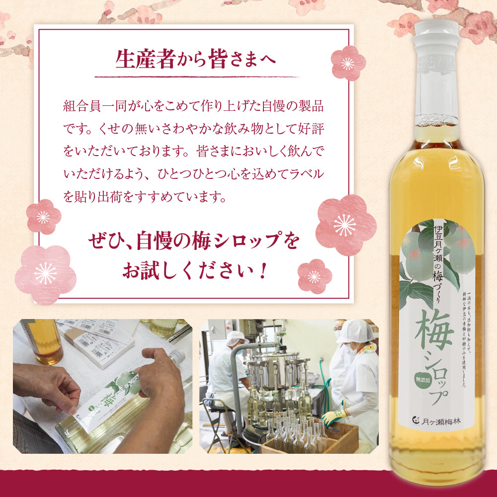 伊豆 月ヶ瀬 こだわりの 梅シロップ 500ml×６本セット 028-001　【 国産 無添加 焼酎 炭酸水 炭酸 飲料 果実 青果 果樹 ドリンク かき氷 お菓子 ケーキ ジュース 瓶 贈り物 ギフト プレゼント お土産 手土産 お取り寄せ 伊豆　梅シロップ 梅しろっぷ うめしろっぷ シロップ しろっぷ 梅 うめ ウメ　】