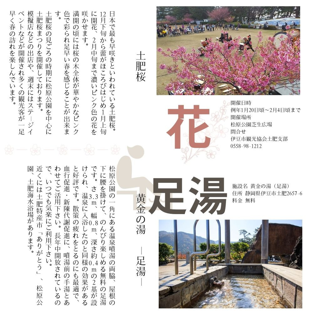 土肥温泉 旅館協同組合 商品券（300,000円分）【宿泊券 宿泊 温泉 温泉宿 旅行 旅行クーポン お食事券 協同組合 静岡県 伊豆市 静岡 伊豆 旅館協同組合 温泉 温泉宿 温泉地 宿 ホテル 旅館 宿泊 ご宿泊 宿泊券 宿泊利用券 商品券 チケット クーポン 旅行クーポン お食事 お食事券 旅行 トラベル 入浴 海水浴 魚介類 魚介 海鮮】100-005