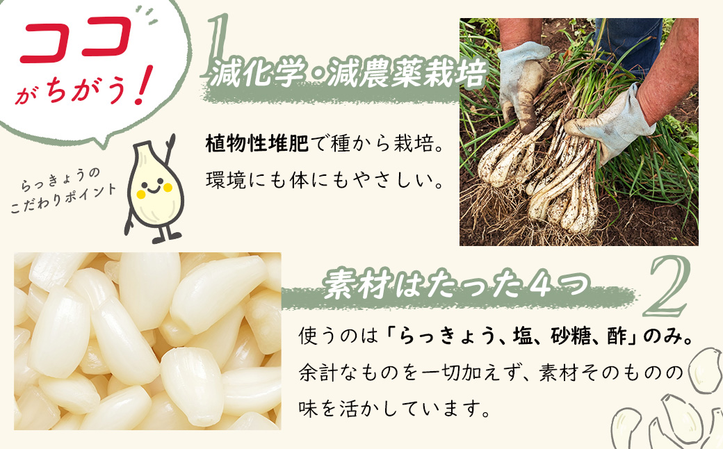 （数量限定） 伊豆 天城農園 青い鳥 グランパ 梅干し 160g×2パック・グランマ らっきょうの甘酢漬け 130g×2パック 【梅 無添加 減塩 らっきょう 数量限定 】015-009