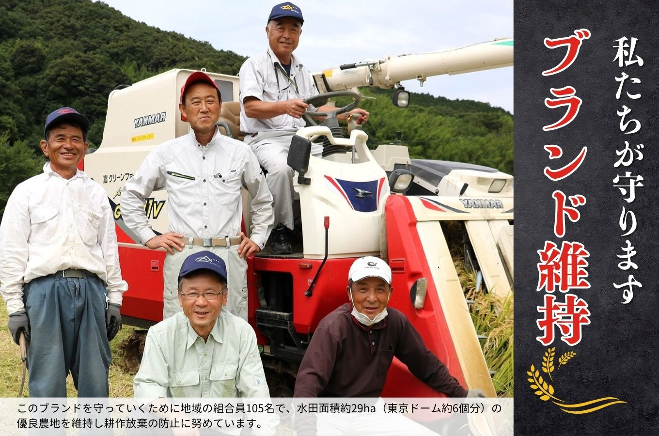 【数量限定】定期便（全３回）修善寺 桂流こしひかり（５kg）| コシヒカリ 白米 お米 精米 国産 米 ごはん 特別栽培米 お取り寄せ 静岡県 伊豆市 | 045-003