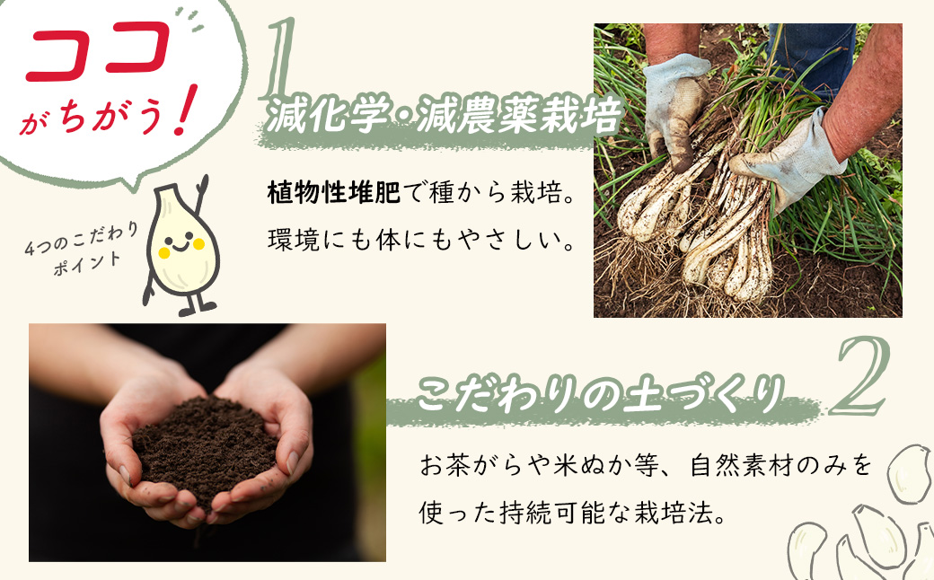 (数量限定） 伊豆 天城農園 青い鳥 らっきょうの甘酢漬け 130g×4パック【無添加 減塩 らっきょう 数量限定 】015-008