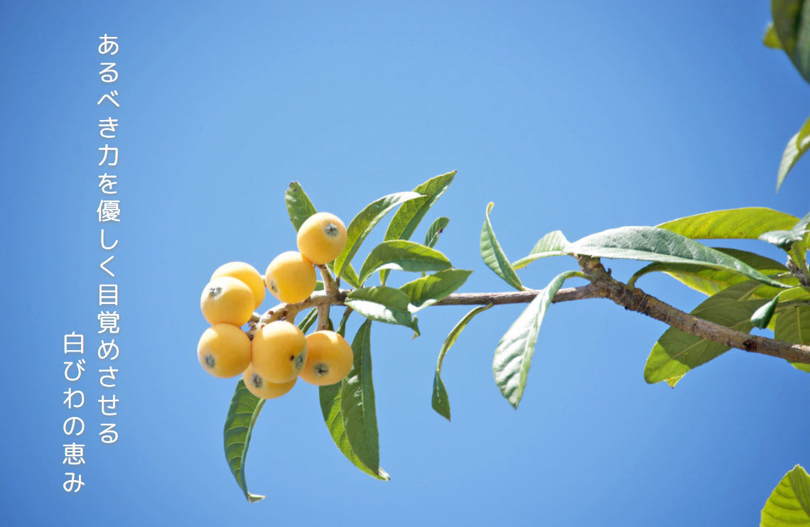 【自然療法 サロンミモザ】ココロも カラダも ほわっと 土肥産 白びわ ほわっとびわ石鹸100g | 静岡県 伊豆市 伊豆 びわの葉 せっけん 石鹸 スキンケア ボディケア アロマセラピー ナチュラル 自然 リラクゼーション ビューティケア 癒し フレグランス 健康美容 ウェルビーイング スパトリートメント リフレッシュ バスケア びわ アロマ 土肥 |