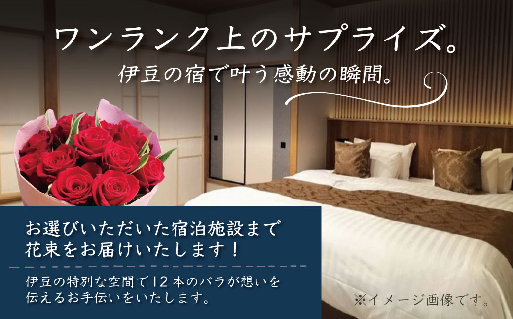 ããããŒãºèµ€ãã©ã12æ¬ãåžå
å®¿æ³æœèšãå±ã | èšå¿µæ¥ è± è±æ ããããŒãº ãµãã©ã€ãº çµå© å©çŽ ãç¥ã é
é é
é ãã㫠宿 æ
通 å©çšæœèš è±å± çŽé ã®ãã èŽãç© ãå±ã ãµãŒãã¹ ãã¬ãŒã³ã ããã€ãã«ãŒã« é岡 äŒè± | 022-003