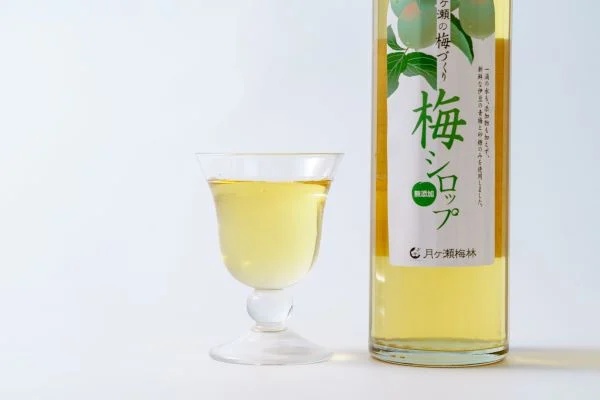 伊豆 月ヶ瀬 こだわりの 梅シロップ 500ml×６本セット 028-001　【 国産 無添加 焼酎 炭酸水 炭酸 飲料 果実 青果 果樹 ドリンク かき氷 お菓子 ケーキ ジュース 瓶 贈り物 ギフト プレゼント お土産 手土産 お取り寄せ 伊豆　梅シロップ 梅しろっぷ うめしろっぷ シロップ しろっぷ 梅 うめ ウメ　】