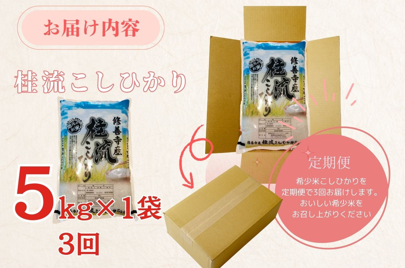 【数量限定】定期便（全３回）修善寺 桂流こしひかり（５kg）| コシヒカリ 白米 お米 精米 国産 米 ごはん 特別栽培米 お取り寄せ 静岡県 伊豆市 | 045-003