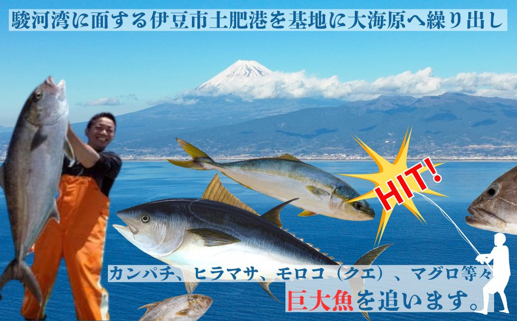 伊豆 海満喫体験 船釣 2日間 乗船券 １枚 1名様（上級者向け）【静岡県 伊豆市 海 体験 土肥 チケット 船釣り 】G-11