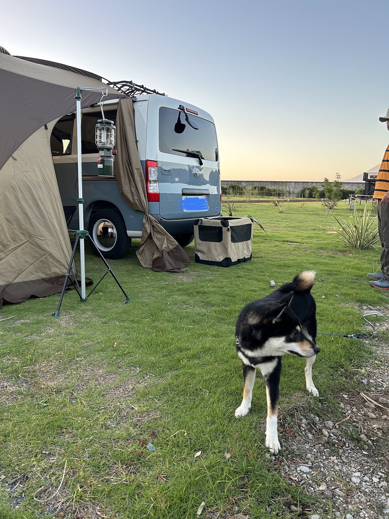 ããªã³ããŒã¹è¥¿äŒè±ãµã€ãå©çšåž5,500ååïŒèªè©°ãæŸé¡1æ¯å ã ãã£ã³ã CAMP ãã£ã³ãå Ž å¯å£«å±± æµ· 駿河湟 çºæ çºã èªç¶ 颿± è¿é ãããã é£ã ç©Žå Ž èãµã€ã AC黿ºãµã€ã wifi æ°Žå Ž ç¡æã·ã£ã¯ãŒ ãããå¯ ç¬ åå¿è
æã¶ã èª ã