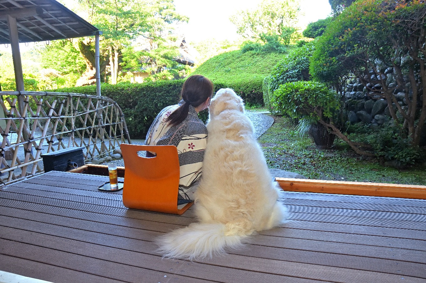 修善寺温泉 修善寺絆＋ 愛犬と一緒にお泊り 商品券 150,000円分 【静岡県 伊豆市 温泉 温泉宿 宿泊券 宿泊 旅行 旅行クーポン 商品券 補助券 ペット ホテル お泊り ペット 愛犬 犬 いぬ イヌ 家族 ファミリー 友達 友人 カップル 夫婦 宿泊券 補助券 チケット 利用券 贅沢 旅行 家族旅行 卒業旅行 記念旅行 記念日 お祝い 誕生日 卒業 結婚 還暦 ご褒美 】50-009