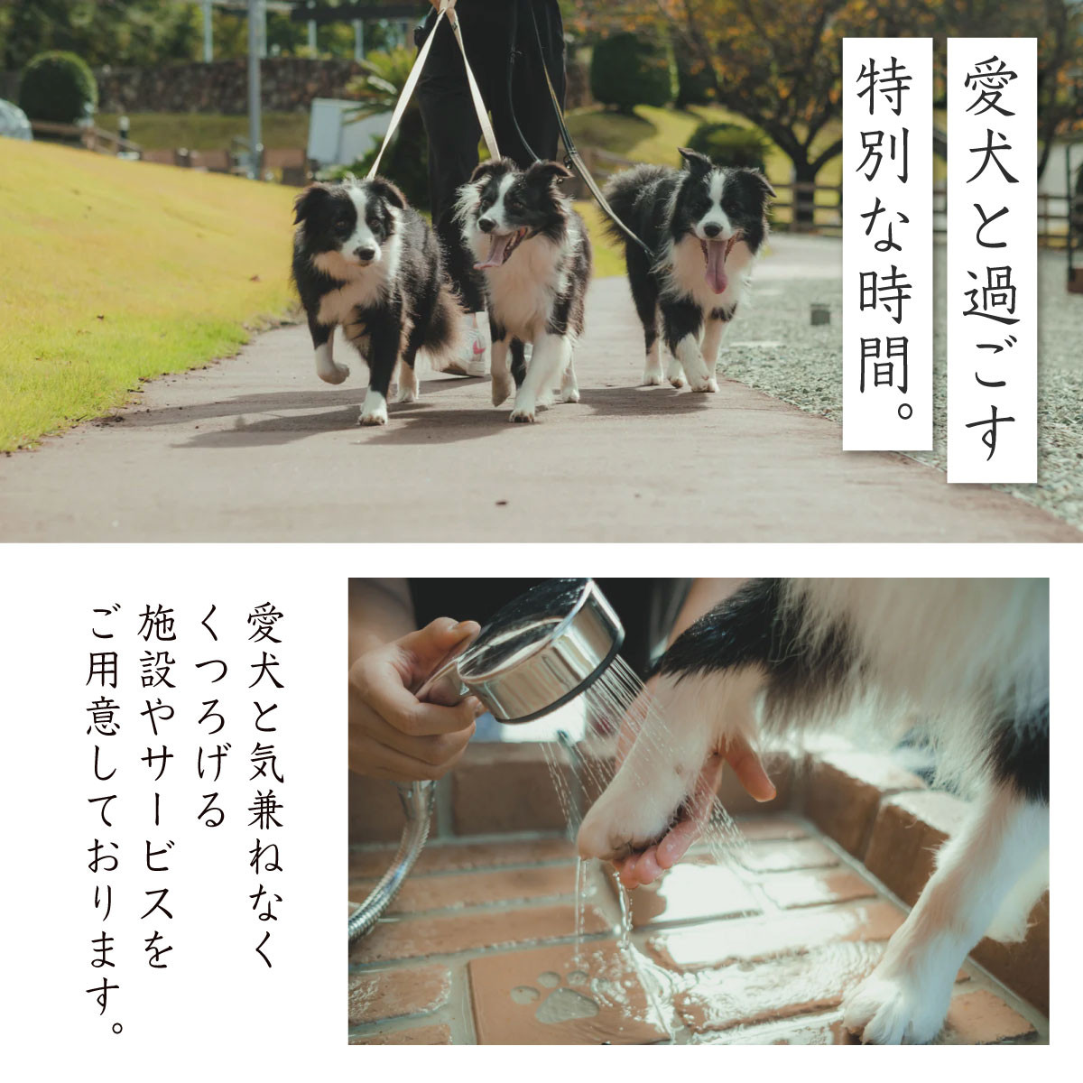 グランピング ペットと泊まれる 中伊豆EAST WINDS VILLAGE 宿泊補助券 60,000円分 【静岡県 伊豆市 宿泊券 宿泊 旅行 旅行クーポン 商品券 補助券 リゾート ヴィラ ペット 静岡 伊豆 ペット 宿泊 キャンプ ドッグラン 愛犬 手ぶら BBQ バーベキュー リゾート ヴィラ キャビン 家族 ファミリー カップル 友人 旅行 】　20-001