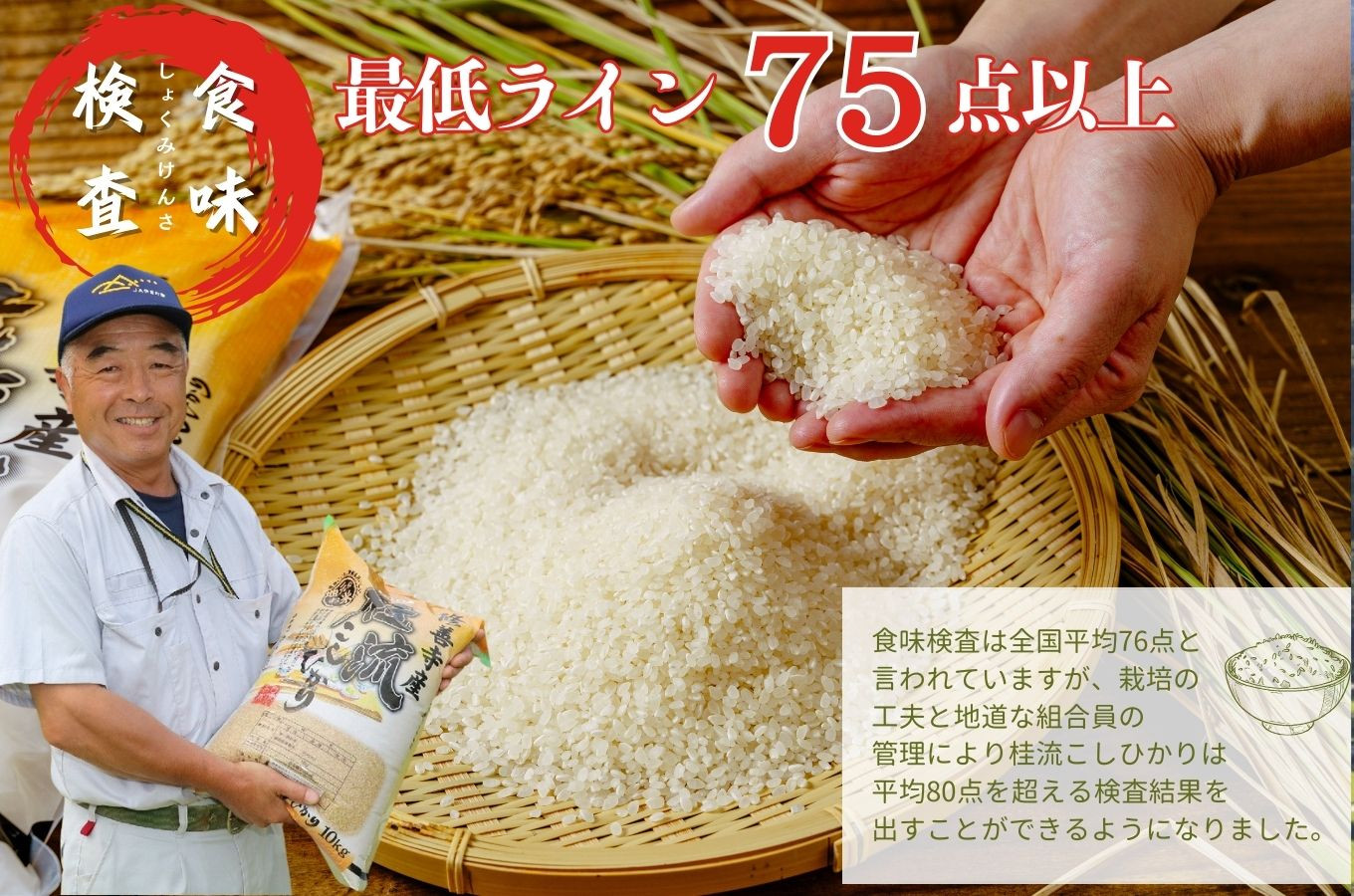 【数量限定】定期便（全３回）修善寺 桂流こしひかり（５kg）| コシヒカリ 白米 お米 精米 国産 米 ごはん 特別栽培米 お取り寄せ 静岡県 伊豆市 | 045-003