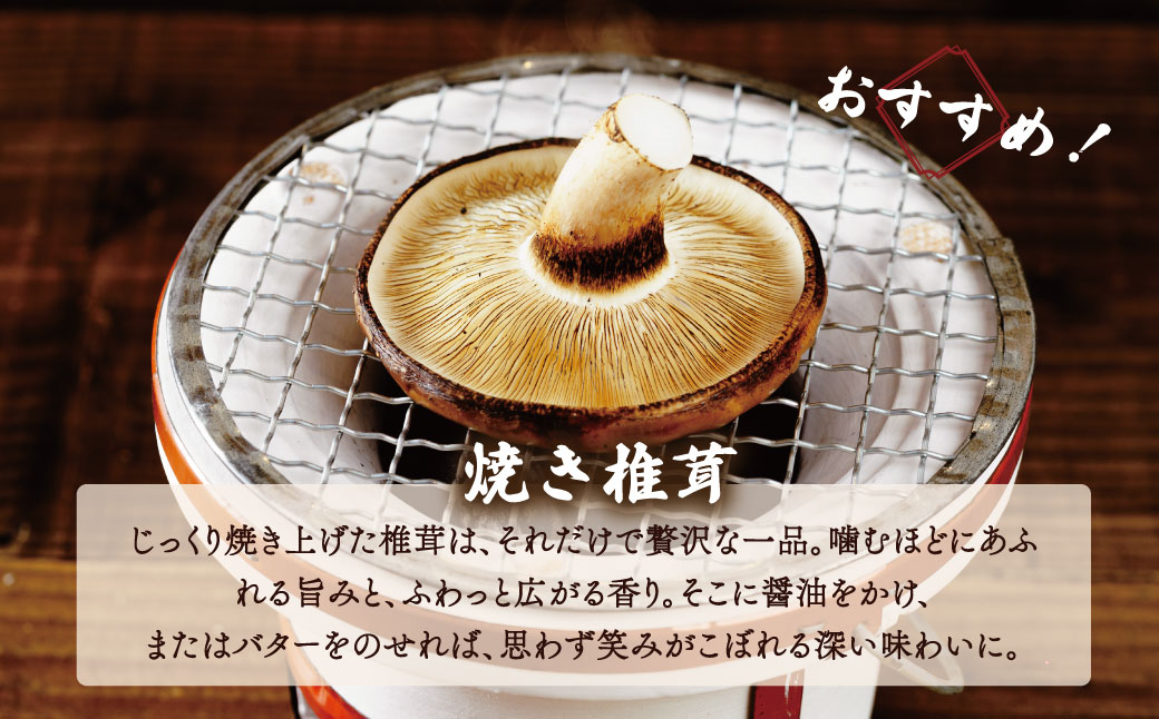 無農薬 無肥料 伊豆産 原木栽培の生・乾しいたけセット （生しいたけ 1kg・乾しいたけ 清助どんこ 250g）　【椎茸 キノコ 肉厚 シイタケ 乾燥 】　020-009