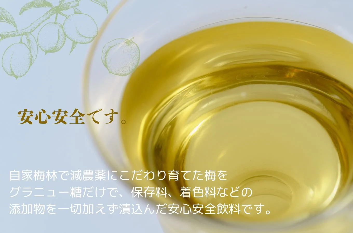 伊豆 月ヶ瀬 こだわりの 梅シロップ 500ml×６本セット 028-001　【 国産 無添加 焼酎 炭酸水 炭酸 飲料 果実 青果 果樹 ドリンク かき氷 お菓子 ケーキ ジュース 瓶 贈り物 ギフト プレゼント お土産 手土産 お取り寄せ 伊豆　梅シロップ 梅しろっぷ うめしろっぷ シロップ しろっぷ 梅 うめ ウメ　】