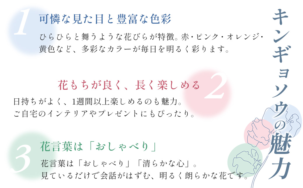 【先行予約・限定5セット・11月中旬〜3月下旬配送】キンギョソウ（20本前後）
