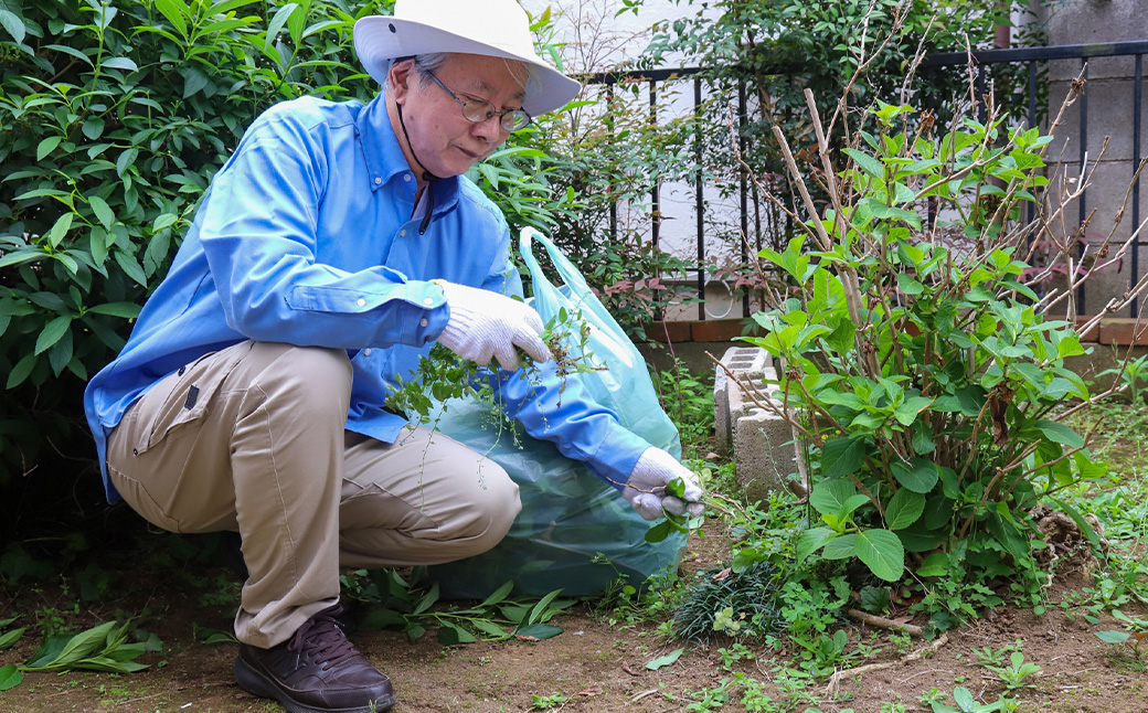 伊豆市シルバー人材センターサービス利用権12,000円分 | 草刈り庭木剪定 お墓掃除 チケット 