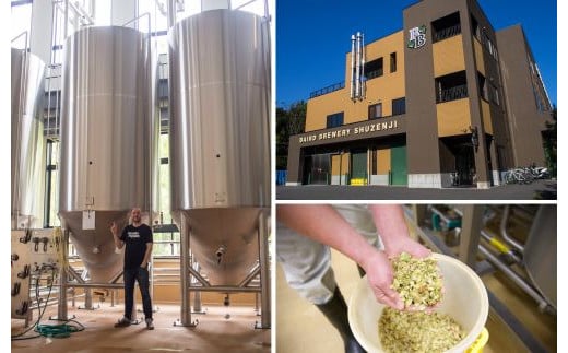 （定期便・3回）修善寺 ベアードビール おすすめ 330ml × 6本 セット【 ベアード クラフトビール 地ビール 瓶ビール ご当地 ビール オリジナル 酒 晩酌 家飲み ビール お酒 BBQ 宅飲み 人気 高評価 ギフト お土産 静岡 伊豆市 修善寺 アソート 飲み比べ 定番 季節限定 季節 限定 国産 酒 お酒 晩酌 アルコール ご当地 お取り寄せ】036-001