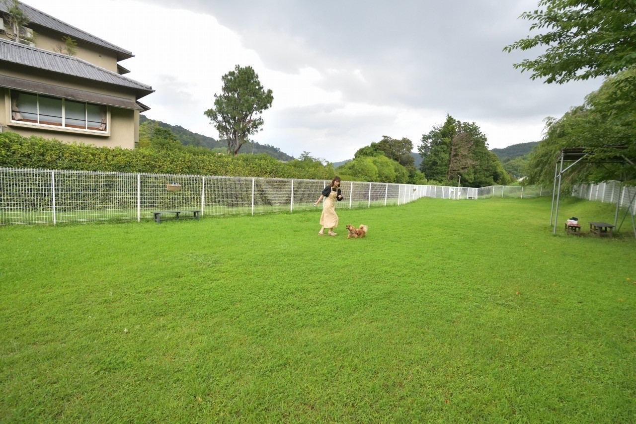 修善寺温泉 修善寺絆＋ 愛犬と一緒にお泊り 商品券 150,000円分 【静岡県 伊豆市 温泉 温泉宿 宿泊券 宿泊 旅行 旅行クーポン 商品券 補助券 ペット ホテル お泊り ペット 愛犬 犬 いぬ イヌ 家族 ファミリー 友達 友人 カップル 夫婦 宿泊券 補助券 チケット 利用券 贅沢 旅行 家族旅行 卒業旅行 記念旅行 記念日 お祝い 誕生日 卒業 結婚 還暦 ご褒美 】50-009